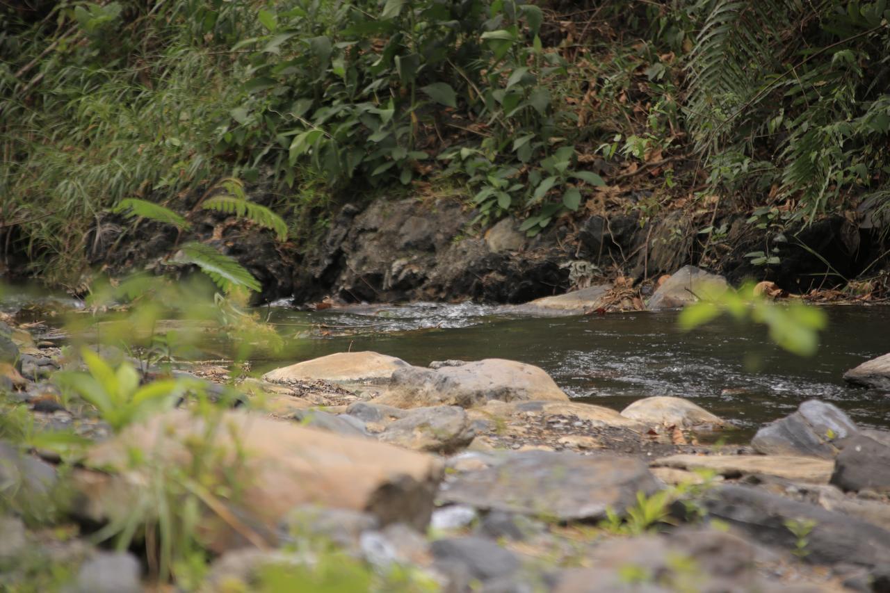 La Selva Reserva 4*