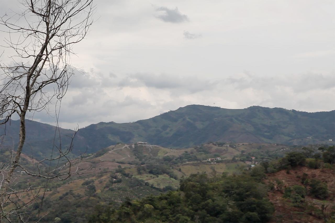 La Selva Reserva Hotel