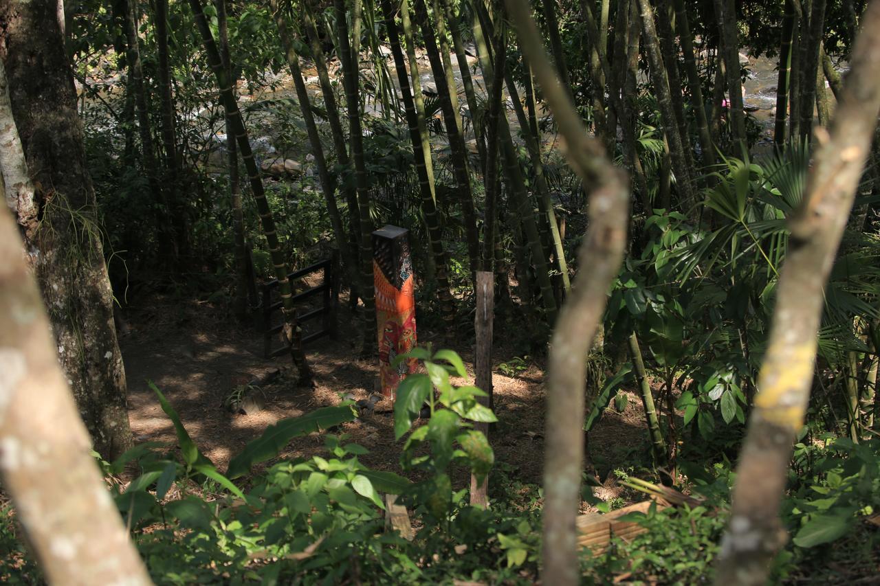 La Selva Reserva 4*