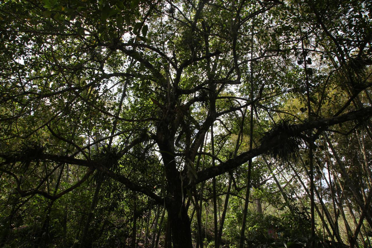 La Selva Reserva Hotel