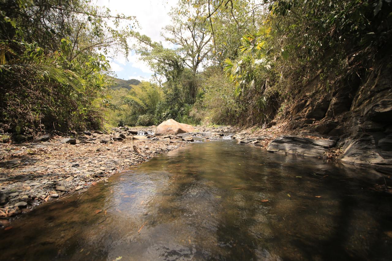 La Selva Reserva